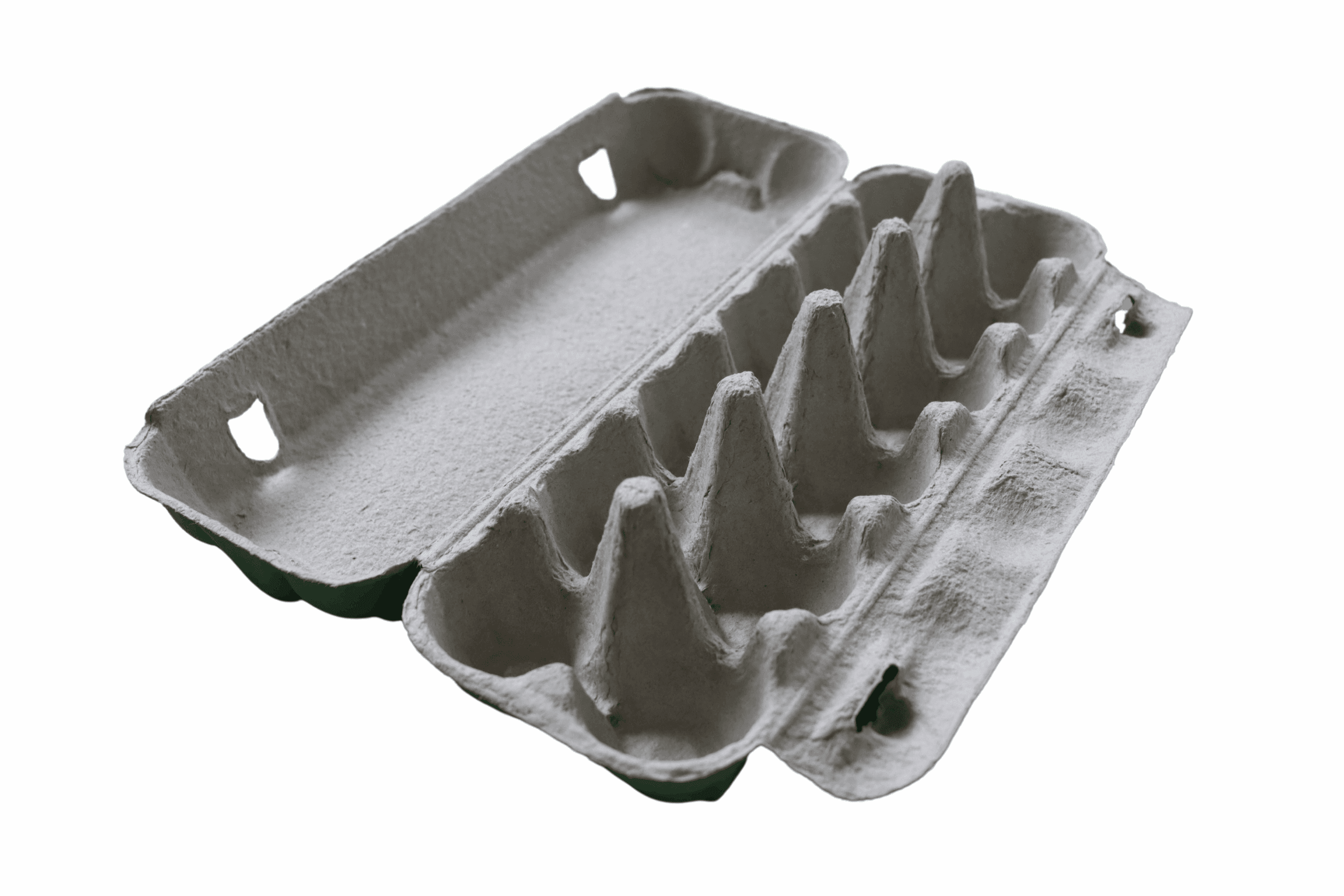Egg Carton