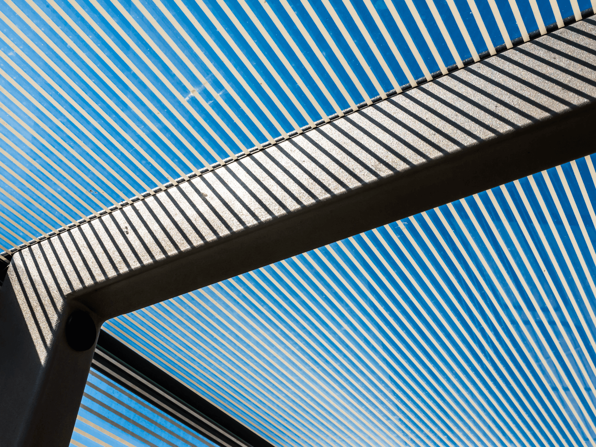 Unleash the Potential of Polycarbonate Roofing Sheets: Benefits and Applications